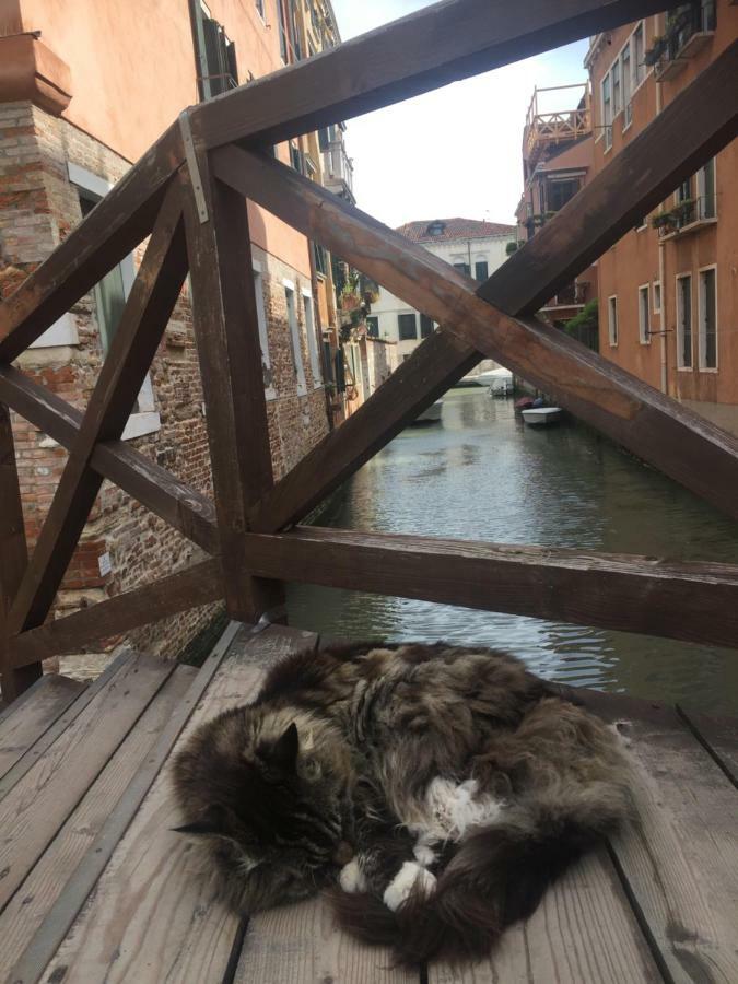 Tintoretto 1 Con Terrazza Sopra Il Tetto, 3 Bagni, 3 Grandi Camere Da Letto, Super Nuovo Венеція Екстер'єр фото